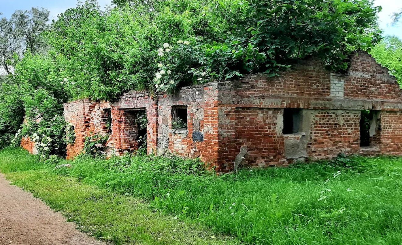 Zamek Szreńskich w Szreńsku, Poland